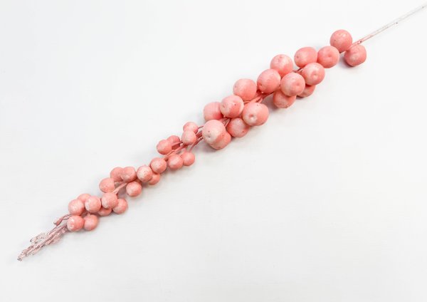 Ветка "Розовый бисквит"