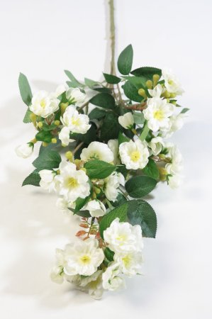 Ветка яблони "Гала" белая