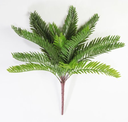картинка Ветка пальмы 18 листов от магазина KALINA