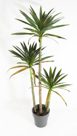 Юкка 3 ствола 160 см БЕЗ КАШПО