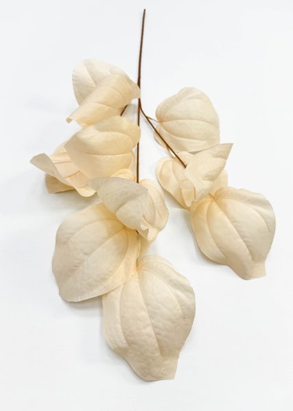 Ветка декоративная с крупным листом светло-бежевая