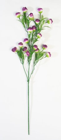 Ветка Пицея высокая византия