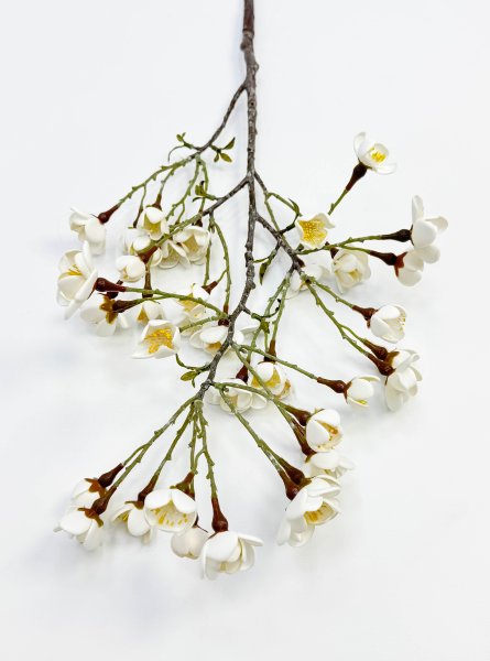 Сакура "Японская" белая