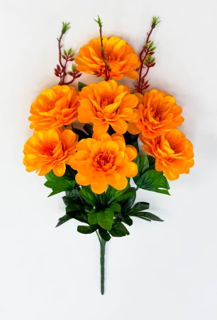 Георгин "Адъютант" 7 цветков