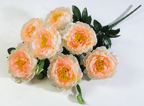 Букет пиона "Сапфир" 7 цветков от магазина KALINA являющийся официальным дистрибьютором в России 