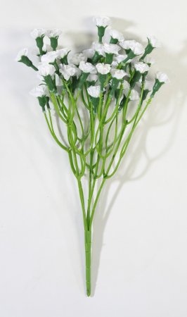 Букет гвоздик "Лель" белый