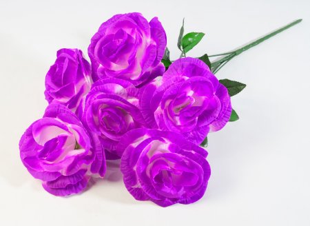 Букет роз Великан 6 цветков