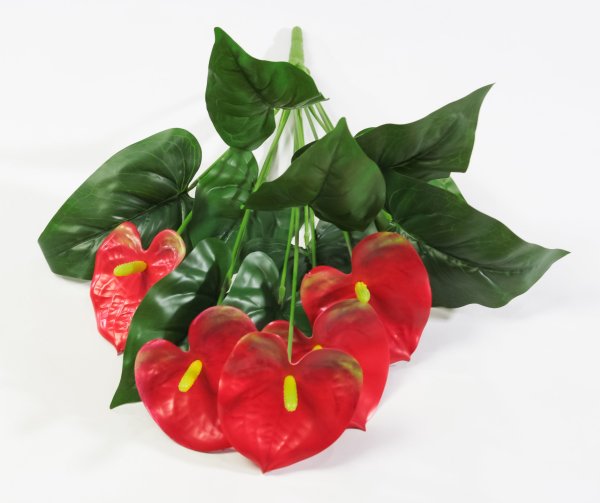 Антуриум "Красный" 5 цветков