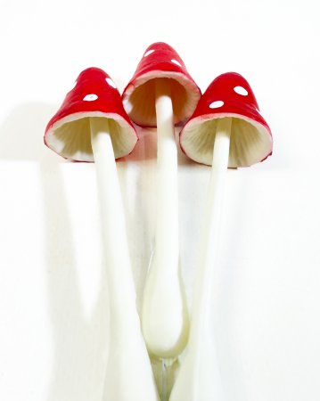 Мухомор на ножке