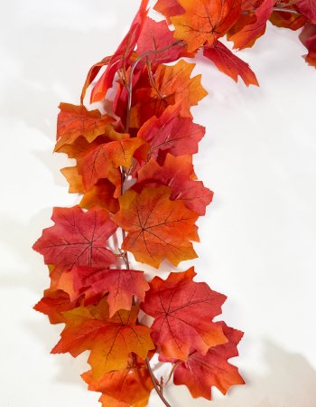 картинка Лиана клена терракот от магазина KALINA