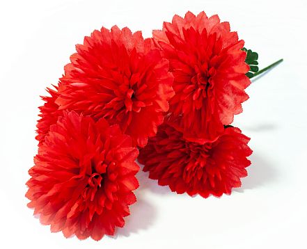 Букет астры " Седая" 7 веток 7 цветков от магазина KALINA являющийся официальным дистрибьютором в России 