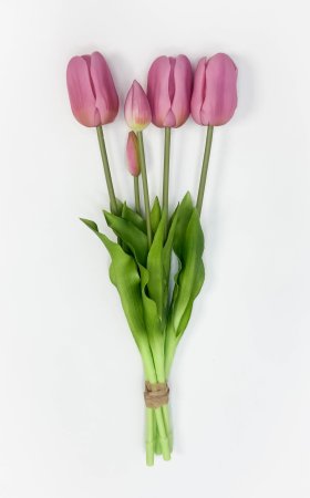 Тюльпан "Корона весны" светло-розовый