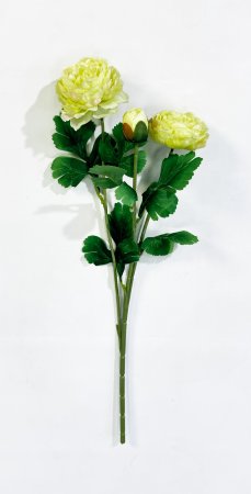 Пион Махровый 2 цветка 1 бутон