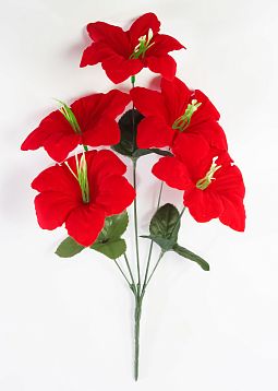 Лилия "Красный ковёр" 5 цветков  от магазина KALINA являющийся официальным дистрибьютором в России 
