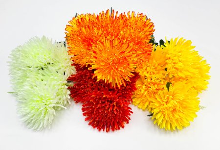 Астра Энигма 6 цветков