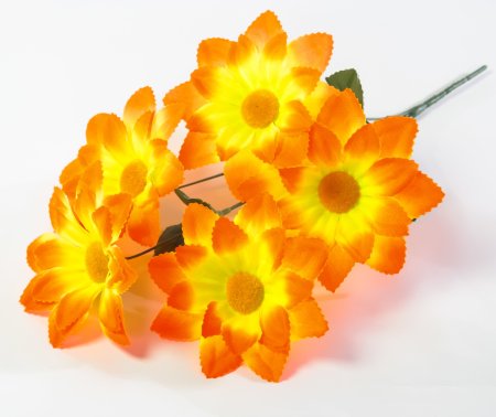 Букет ромашек "Ниагара" 5 цветков