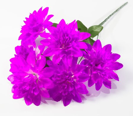 Шафран "Звезда малая" 6 веток