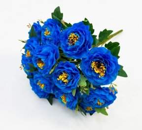 Пион "Арабелла" 15 цветков