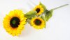 Ветка подсолнуха Светлица 3 цветка