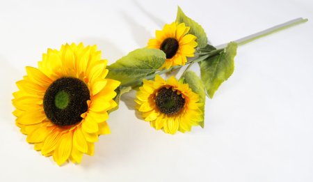 Ветка подсолнуха Светлица 3 цветка