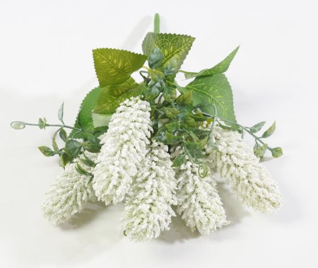 Букет Секлетия белый