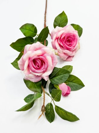 Роза "Радмира" розовая