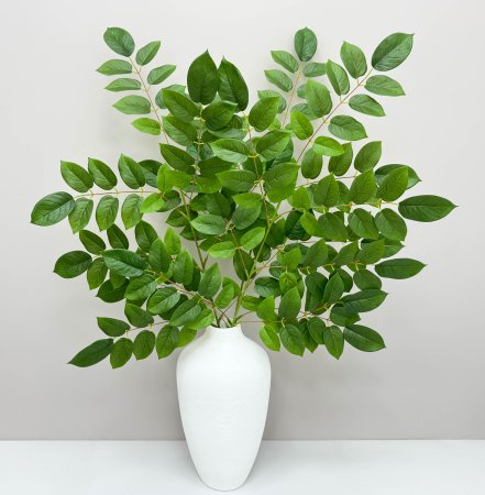 картинка Ветка гуавы зеленая от магазина KALINA