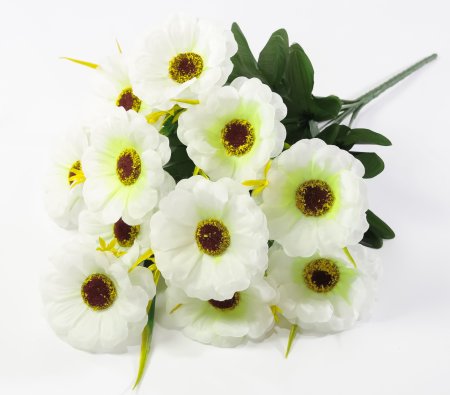 Тунбергия 12 цветков