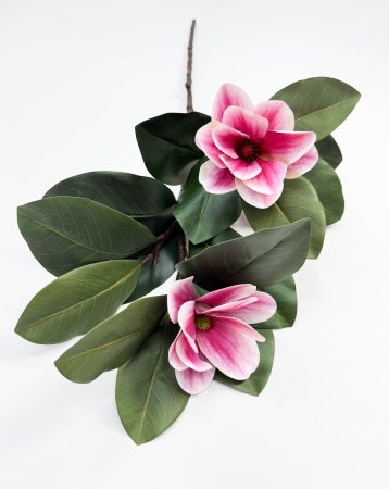 Ветка магнолии с малиновым цветком