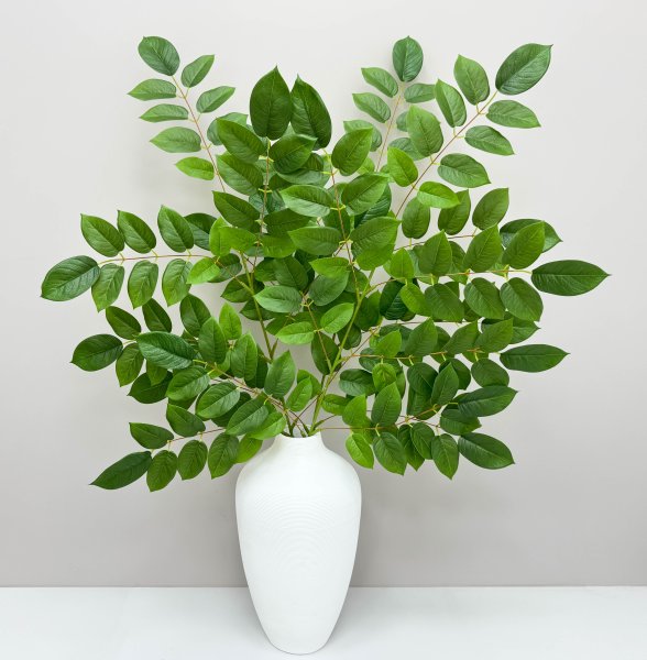 картинка Ветка гуавы зеленая от магазина KALINA