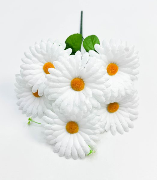 Ромашка "Амурская" 6 цветков