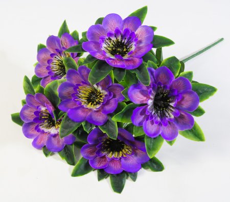 Букет георгина  "Баронесса" 6 веток  6 цветков