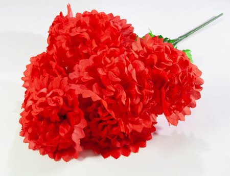 Шафран "Звезда великан"