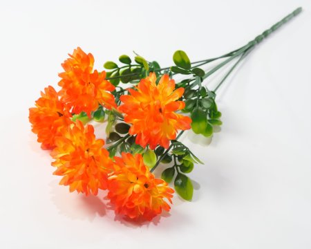 Хризантема "Гавриш" 5 цветков