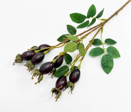 Шиповник "Воронцовский" бордовый