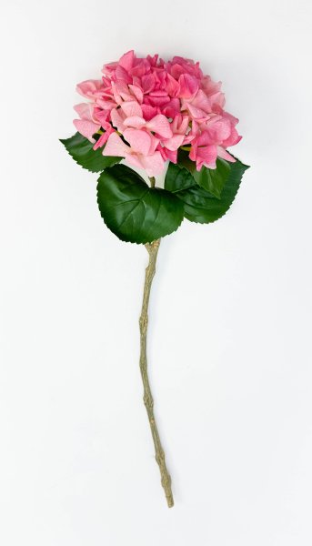 Гортензия «Арбузный сорбет» 