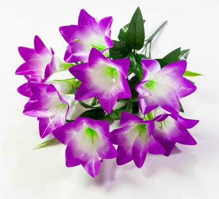 Лилия "Алика" 9 цветков