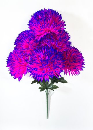 Хризантема Конгресс 6 цветков