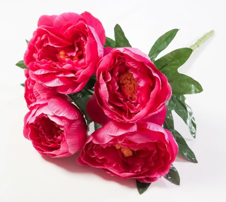 Букет пиона "Мэджик" 5 цветков