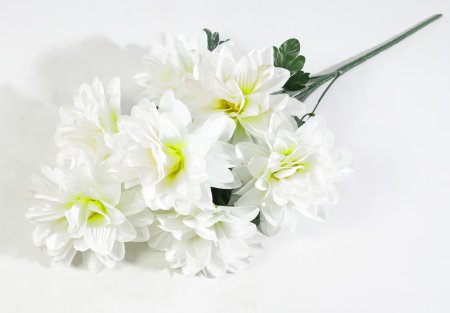 Георгин "Виталина" 7 цветков