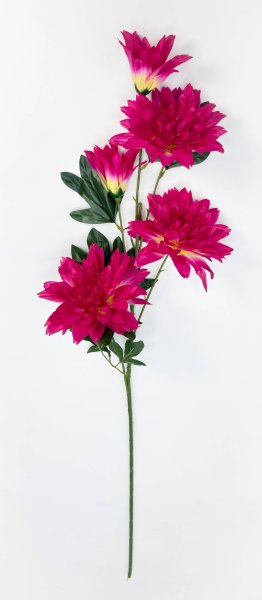 Георгин "Садовая классика" 3 цветка 2 бутона