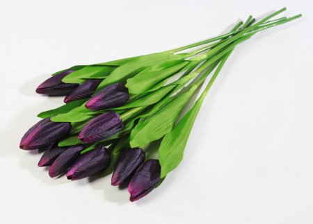 Тюльпан Былина