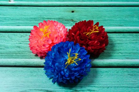 Насадка георгина "Ундина"