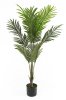 Пальма Чунга-Чанга БЕЗ КАШПО 140 см