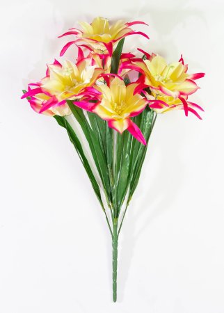 1bdef692ecd99dcfe7915ec2cb64f3aa