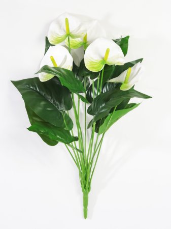 Антуриум Белый 5 цветков