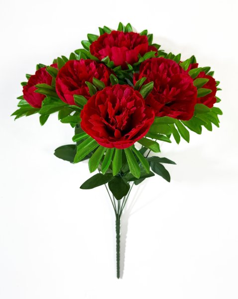 Букет пиона "Крепыш" 6 цветков