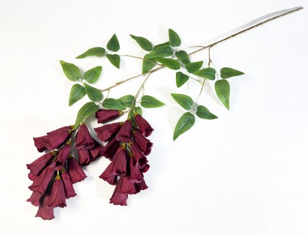 Наперстянка каскадная бордовая