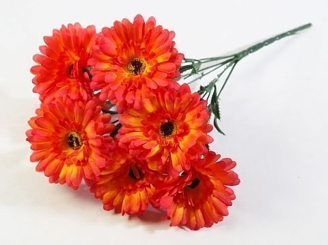 Букет гербер "Фестиваль" 7 цветков от магазина KALINA являющийся официальным дистрибьютором в России 