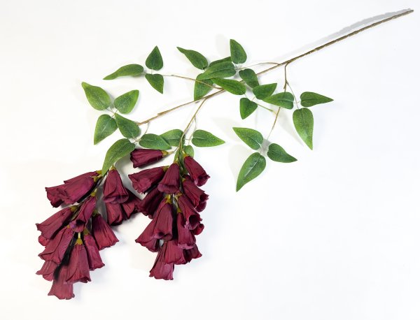 Наперстянка каскадная бордовая